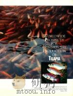 WORLDWIDE PROSPECTS FOR COMMERICAL PRODUCTION OF TILAPIA   1996  PDF电子版封面     