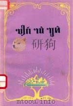 九颗宝石 德宏傣文（1982 PDF版）