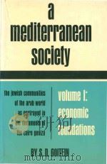 A Mediterranean society the Jewish communities of the Arab world as portrayed in the documents of th（1967 PDF版）