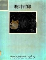 駒井哲郎=THE MODERN JAPANESE PRINT ARTISTS 1993 PDF电子版封面 494766603X 駒井哲郎著