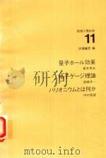 物理学最前線 11 量子ホ一ル效果·格子ゲ一ヅ理論·バリオニウムとは何か 1983 PDF电子版封面 4320031938 大摫義彥編