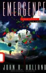 EMERGENCE FROM CHAOS TO ORDER（1998 PDF版）