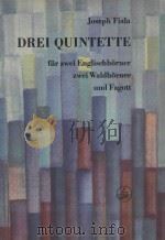 Drei quintette（ PDF版）