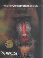 WILDLIFE CONSERVATION SOCIETY ANNUAL REPORT 1999（ PDF版）