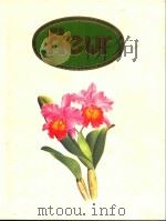 講談社園芸大百科事典 8 冬の花 1980 PDF电子版封面