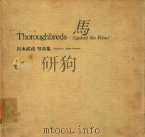 THOROUGHBREDS: AGAINST THE WIND 川本武司写真集 馬 1985 PDF电子版封面