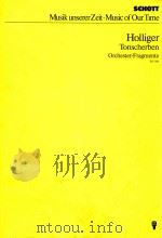 Tonscherben Orchester-Fragmente in memoriam David Rokeah 1985 PDF电子版封面