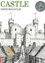 Castle 1977 PDF电子版封面 9780395329207