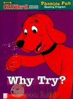 WHY TRY?（ PDF版）