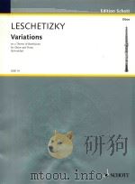 Variations on a theme of Beethoven（ PDF版）