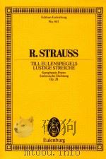 till eulenspiegels lustige streiche（1974 PDF版）