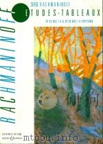 etudes tableaux op33 4 etudes tableaux op39 40（1985 PDF版）