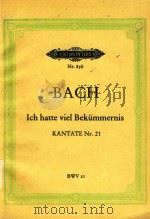 Ich hatte viel Bekummernis（ PDF版）