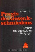 Praxis des Gesenkschmiedens; geplante und durchgefuhrte Fertigungen 1982 PDF电子版封面