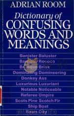 Dictionary Confusing Words and Meaning（1985 PDF版）