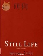 Still life: still life painting in the early modern period 1999 PDF电子版封面 3822865230