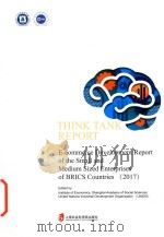 E-commerce development report of the small and medium sized enterprises of BRICS countries 2017 = 金砖（ PDF版）