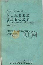 Number theory:an approach through history from Hammurapi to Legendre 1984 PDF电子版封面 0817631410 Weil;André