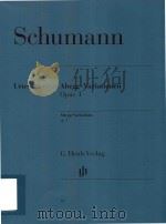 ABEGG-VARIATIONEN OPUS 1 ABEGG VARITIONS OP.1 URTEXT（ PDF版）