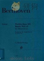 PARTHIA OPUS 103 RONDO WOO 25 FUR BLASEROKTETT PARTHIA OP.103 RONDO WOO 25 FOR WIND OETET KLARINETTE PDF电子版封面 LUDWIG VAN BEETHOVEN EGON VOSS
