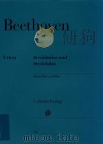 STREICHTRIOS UND STREICHDUO STRING TRIOS AND DUO VIOLINE VIOLIN VIOLA VIOLONCELLO（ PDF版）