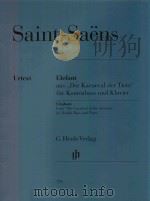 ELEFANT AUS（ PDF版）