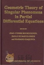 Geometric theory of singular phenomena in partial differential equations:Cortona 1995（1998 PDF版）