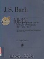 SWCHS SONATEN FUR VIOLINE UND KLAVIER (CEMBALO) BWV 1014-1019 SIX SONATAS FOR VIOLIN AND PIANO (HARP 1971 PDF电子版封面