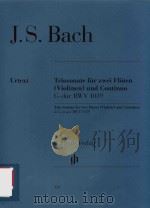 TRIOSONATE FUR ZWEI FLOTEN (VIOLINEN) UND CONTINUO G-DUR BWV 1039 TRIO SONATA FOR TWO FLUTES (VIOLIN PDF电子版封面 JOHANN SEBASTIAN BACH HANS EPP