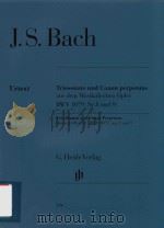 TRIOSONATE UND CANON PERPETUUS AUS DEM MUSIKALISCHEN OPFER BWV 1079 NR.8 UND 9 TRIO SONATA AND CANON（ PDF版）