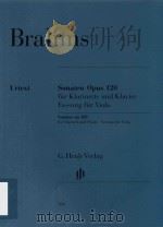 SONATEN OPUS 120 FUR KLARINETTE UND KLAVIER FASSUNG FUR VIOLA SONATAS OP.120 FOR CLARINET AND PIANO（ PDF版）