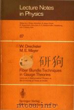Fiber Bundle Techniques in Gauge Theories: Lectures in Mathematical Physics at the University of Tex（1977 PDF版）