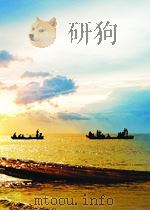 中华人民共和国国家标准  GB/T 19360-2003/ISO10630:1994  工业用金属穿孔板技术要求和检验方法=Industrial plate screens-Specification（ PDF版）