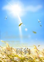 中国人民共和国国家标准  GB/T17676-1999  天然气汽车和液化石油气汽车  标志=Natural gas vehicle and liquefied petroleum gas vehic（ PDF版）