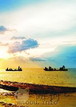 中华人民共和国国家标准 GB/T20176-2006/ISO14237:2000 表面化学分析 二次离子质谱用均匀掺杂物质测定硅中硼的原子浓度 PDF电子版封面