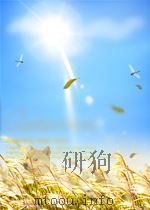中华人民共和国国家标准  GB/T20019-2005/ISO14231:2000  热喷涂  热喷涂设备的验收检查=Thermal spraying-Acceptance inspection of（ PDF版）