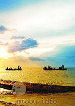 中华人共和国国家标准 GB/T19915.9-2005 猪链球菌2型溶血素基因PCR检测方法=Detection method of the hemolysin gene for Streptoc PDF电子版封面
