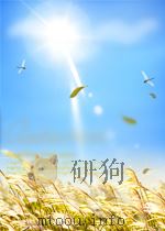 中华人民共和国国家标准  GB/T21533-2008  蜂蜜中淀粉糖浆的测定  离子色谱法=Determination of starch srupy in honey-Ion chromatogr（ PDF版）