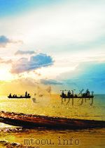 中华人民共和国国家标准  GB/T19940-2005  粉状鉻 剂  六价鉻离子测定方法=Chrome powder-Determination of chromium(VI)（ PDF版）