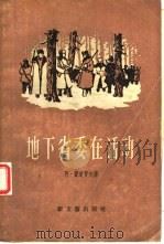 地下省委在活动  中（1956 PDF版）