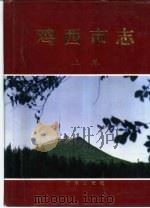 鸡西市志  下（1996 PDF版）