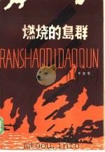 燃烧的岛群  下（1985 PDF版）