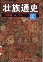 壮族通史  （中册）（1997年06月第1版 PDF版）