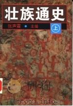 壮族通史  （下册）（1997年06月第1版 PDF版）