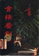 含情看剑  中（1991 PDF版）