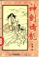 神剑娇龙  下（1993 PDF版）