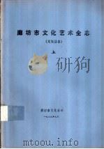 廊坊市文化艺术全志  文安县卷  下（ PDF版）