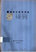 霸州市文化艺术志  下（ PDF版）