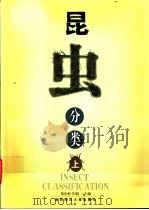 昆虫分类  下（1999 PDF版）