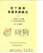 拉丁美洲各国民族概况  中（ PDF版）